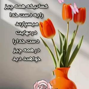 profile 23731 1757691760808