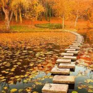 profile 13488 1762759180034