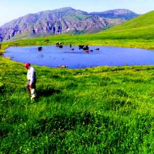 profile 24094 1762746802986