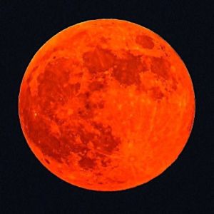 profile 24156 1763560479280