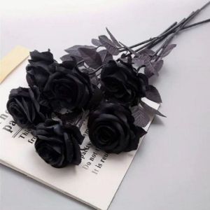 profile 24470 1770120551064