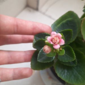 profile 24471 1770144868430