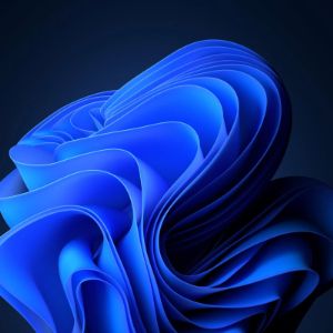 profile 24512 1771349586268