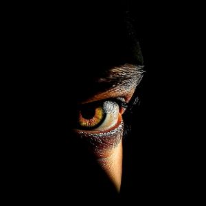 profile 24529 1771983822748