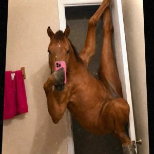 profile 29096 1787146768832